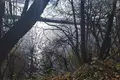 Land  Liepielski sielski Saviet, Belarus