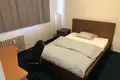 2 bedroom apartment 55 m² Most, Czech Republic