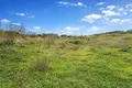 Atterrir 6 250 m² Megali Panagia, Grèce
