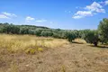 Parcelas 6 250 m² Kassandrino, Grecia
