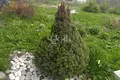 Haus 60 m² Vladimirskoe, Russland