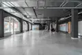 Office 1 room 734 m² in Minsk, Belarus