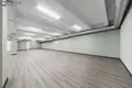 Commercial property 290 m² in Vilnius, Lithuania