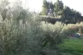Земельные участки 1 комната  Криопиги, Греция