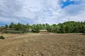 Земельные участки 11 000 м² Молес Каливес, Греция
