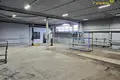 Nieruchomości komercyjne 222 m² w Mińsk, Białoruś