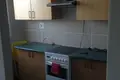 Appartement 1 chambre 33 m² en Borkowo, Pologne