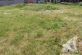 Haus 50 m² Rakitnicki sielski Saviet, Belarus