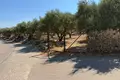 Parcelas  Region of Crete, Grecia