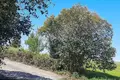 Atterrir 5 000 m² Kassandra Municipality, Grèce