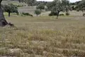 Atterrir 1 chambre 4 000 m² Nikiti, Grèce