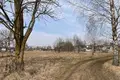 Grundstück  Piatryski, Belarus