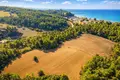 Atterrir 5 800 m² Kassandrino, Grèce