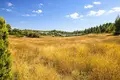 Atterrir 30 000 m² Kassandrino, Grèce