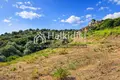 Земельные участки 11 000 м² Амолиани/Амулиани/Амульяни/Аммулияни, Греция