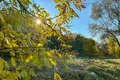 Квартира 3 комнаты 82 м² Минск, Беларусь