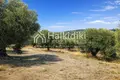 Grundstück 6 250 m² Kalandra, Griechenland