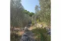 Land 10 756 m² Opcina Vela Luka, Croatia