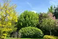 Дом 260 м² Goleczewo, Польша
