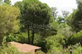Parcelas 2 600 m² Municipality of Sithonia, Grecia