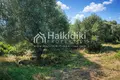 Земельные участки 11 000 м² Амолиани/Амулиани/Амульяни/Аммулияни, Греция
