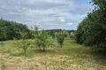 Dom 2 pokoi 21 m² Miadzielski sielski Saviet, Białoruś