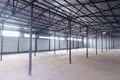 Magazyn 1 426 m² Dziamidavicki sielski Saviet, Białoruś