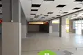 Shop 818 m² in Navahrudak, Belarus