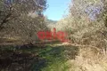 Atterrir 8 000 m² Palaiochori, Grèce