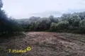 Land  Dziamidavicki sielski Saviet, Belarus