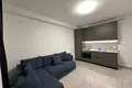 1 room apartment 50 m² in Tirana Municipality, Albania