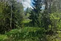 Land  Nikolskoe, Russia