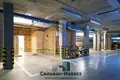 6 room apartment 270 m² Minsk, Belarus