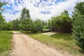 Haus 160 m² Krasnaye, Belarus