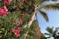 Apartment 6 bedrooms 40 m² Santa Maria, Cape Verde