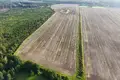 Земельные участки  Olaines pagasts, Латвия