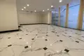 Gewerbefläche 91 m² in Odessa, Ukraine