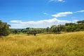 Земельные участки 8 000 м² Неа Рода, Греция