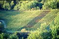 Investition 1 950 m² Antella, Italien