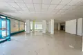 Boutique 900 m² à Kestel, Turquie