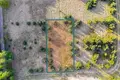 Parcelas 1 463 m² Czmoniec, Polonia