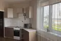 Wohnung 1 zimmer 50 m² Minsk, Belarus