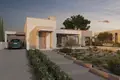 Atterrir  Souni Zanatzia, Chypre