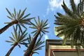 Mieszkanie 4 pokoi  Benidorm, Hiszpania