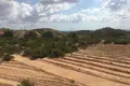 Land 3 bedrooms 400 m² Crevillent, Spain