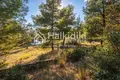 Parcelas 15 000 m² Nikiti, Grecia