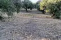 Земельные участки 1 комната  Захаро, Греция