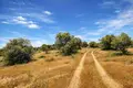 Atterrir 6 000 m² Neos Marmaras, Grèce