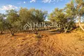 Земельные участки 5 350 м² Каливес Полигроу, Греция