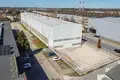 Tienda 2 030 m² en Rogozno, Polonia